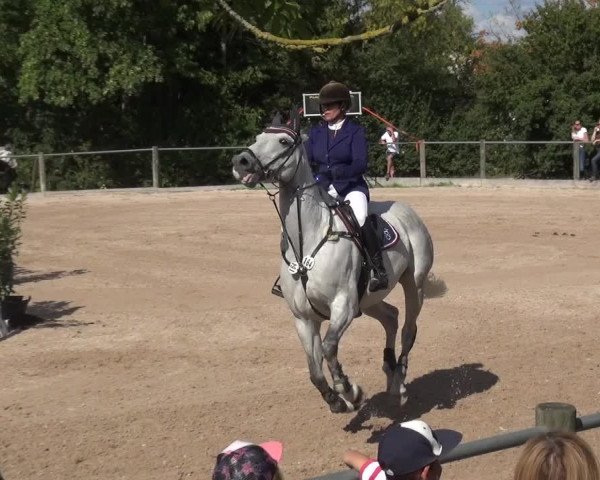Reitturnier Weilheim/Teck 2018