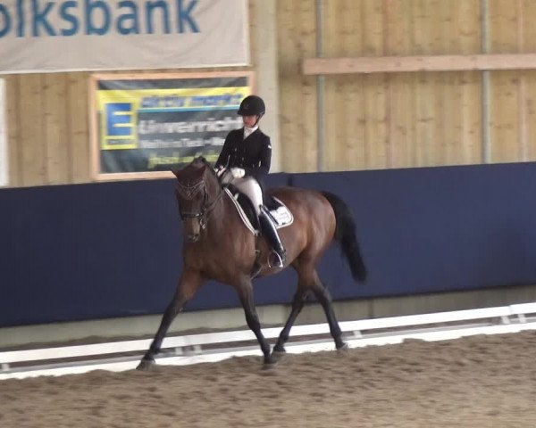 Reitturnier Weilheim/Teck 2018