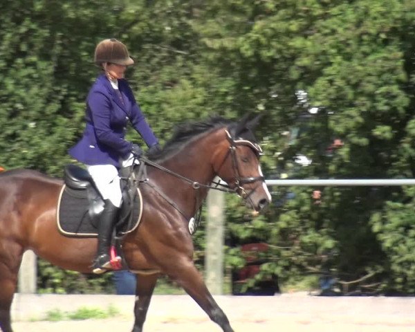 Reitturnier Weilheim/Teck 2018