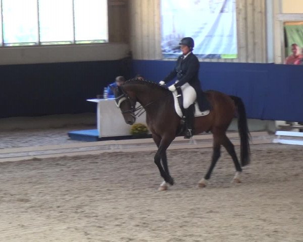 Reitturnier Weilheim/Teck 2018