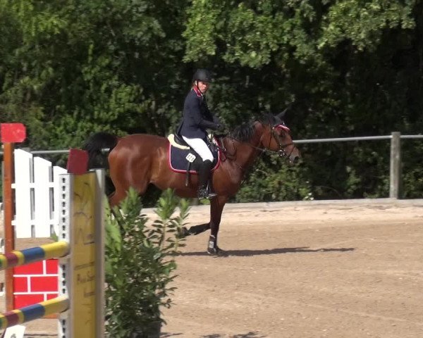 Reitturnier Weilheim/Teck 2018