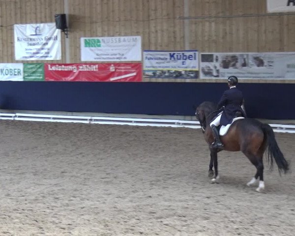 Reitturnier Weilheim/Teck 2018