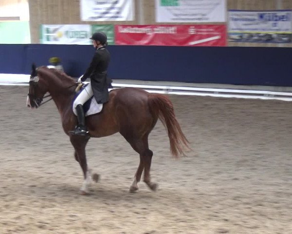 Reitturnier Weilheim/Teck 2018