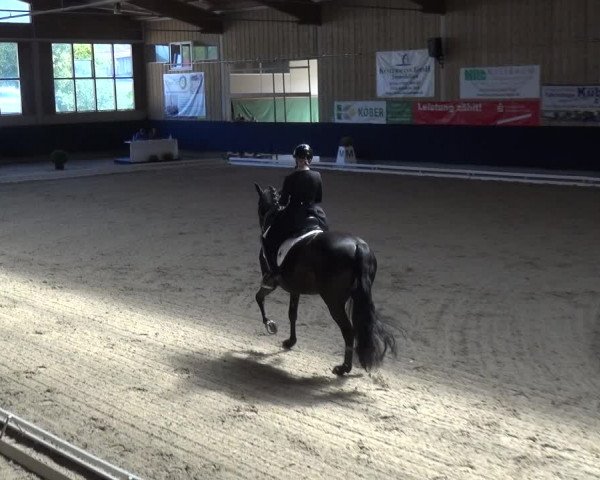 Reitturnier Weilheim/Teck 2018