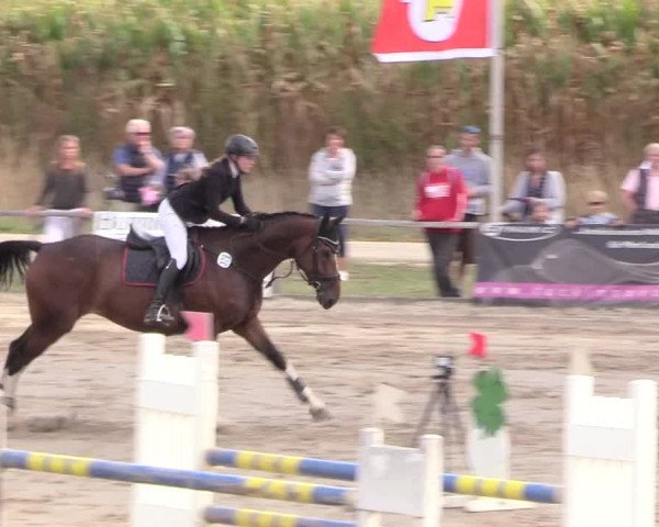 Reitturnier Recklinghausen 2018