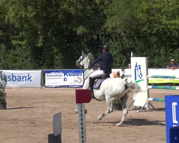 Reitturnier Weilheim/Teck 2018