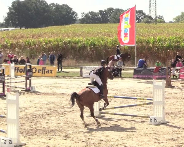 Reitturnier Recklinghausen 2018