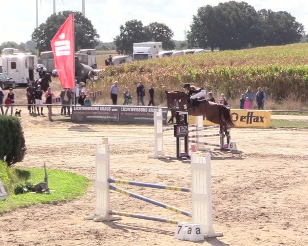 Reitturnier Recklinghausen 2018