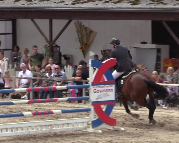 Reitturnier Recklinghausen 2018
