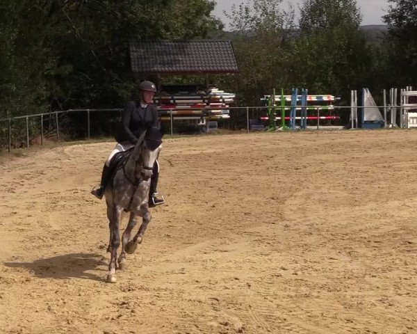 Reitturnier Bühren-Breckerfeld 2018