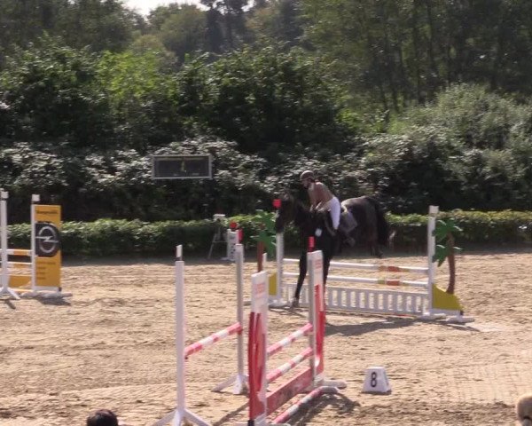 Spring Late Entry Gut Hohenkamp / Dorsten 2021
