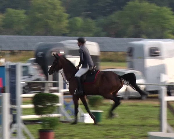 Reitturnier Reckahn 2018