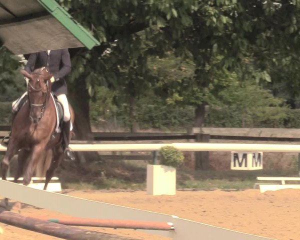 Reitturnier Recklinghausen 2018