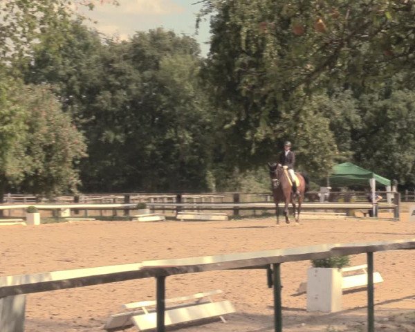 Reitturnier Recklinghausen 2018
