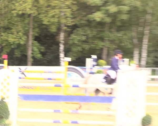 Reitturnier Duderstadt 2018