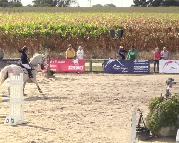 Reitturnier Recklinghausen 2018