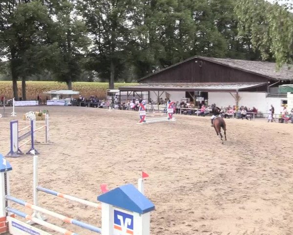Reitturnier Recklinghausen 2018