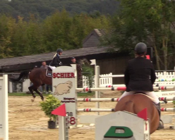 Reitturnier Bühren-Breckerfeld 2018