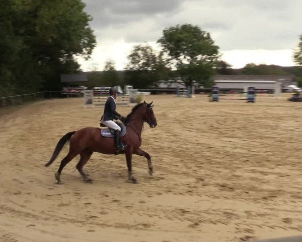 Reitturnier Bühren-Breckerfeld 2018