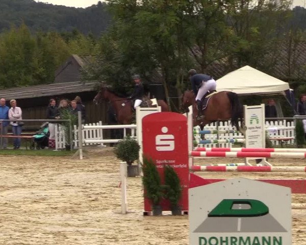 Reitturnier Bühren-Breckerfeld 2018