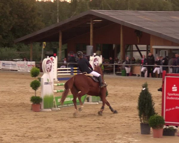 Reitturnier Duderstadt 2018
