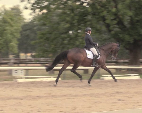 Reitturnier Recklinghausen 2018