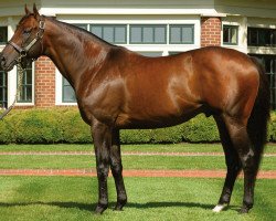 stallion Candy Ride xx (Thoroughbred, 1999, from Ride the Rails xx)