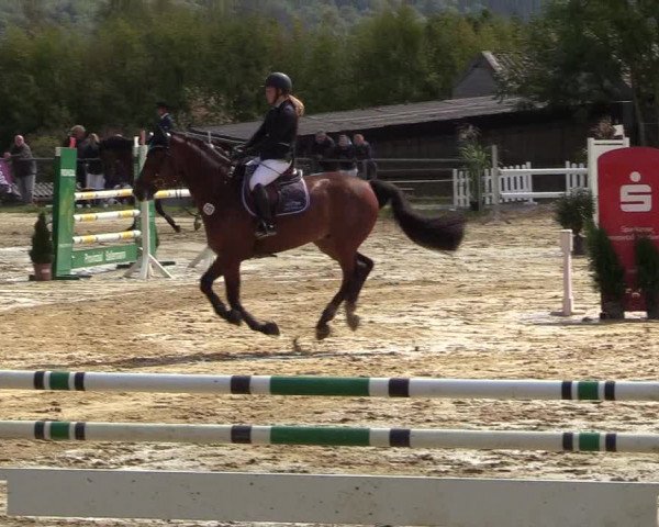 Reitturnier Bühren-Breckerfeld 2018