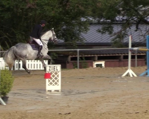 Reitturnier Bühren-Breckerfeld 2018
