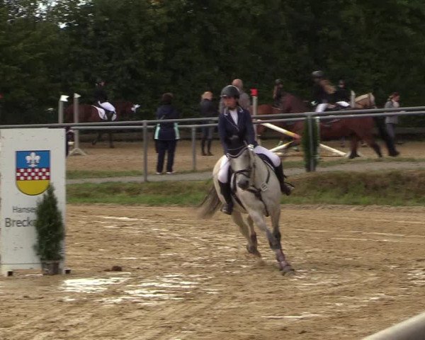 Reitturnier Bühren-Breckerfeld 2018