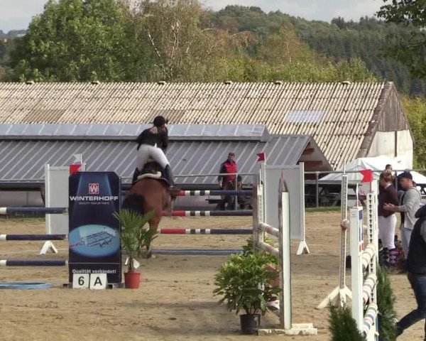 Reitturnier Bühren-Breckerfeld 2018
