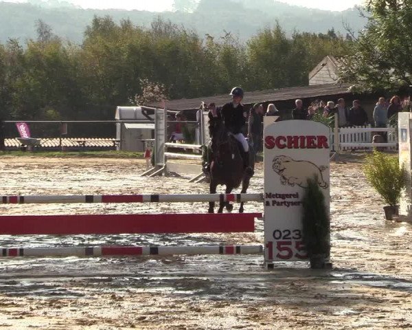 Reitturnier Bühren-Breckerfeld 2018
