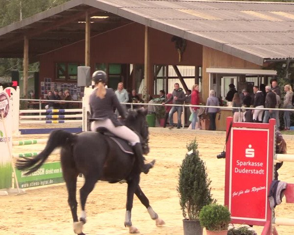 Reitturnier Duderstadt 2018