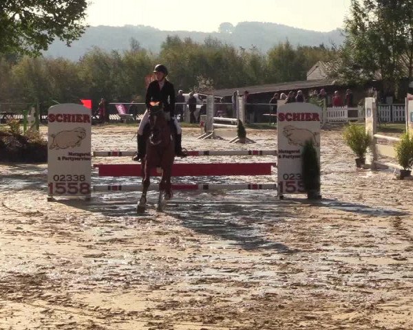 Reitturnier Bühren-Breckerfeld 2018