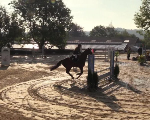 Reitturnier Bühren-Breckerfeld 2018