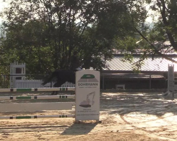 Reitturnier Bühren-Breckerfeld 2018