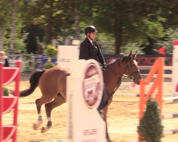 Reitturnier Duderstadt 2018