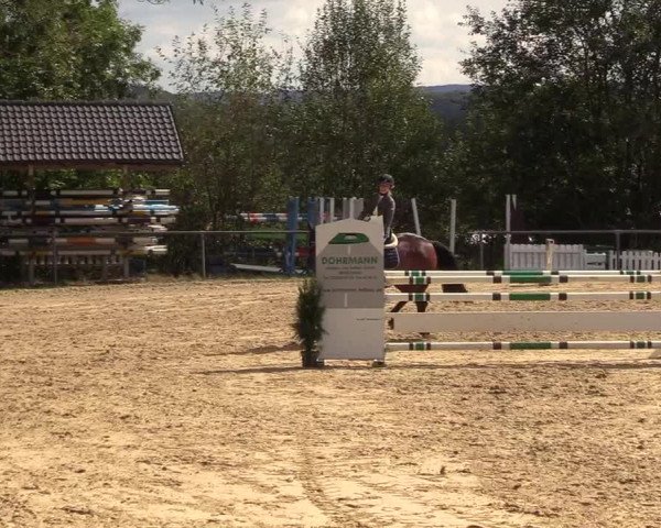 Reitturnier Bühren-Breckerfeld 2018