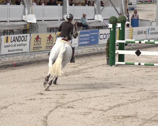 FEI Reitturnier Humlikon (SUI) 2018