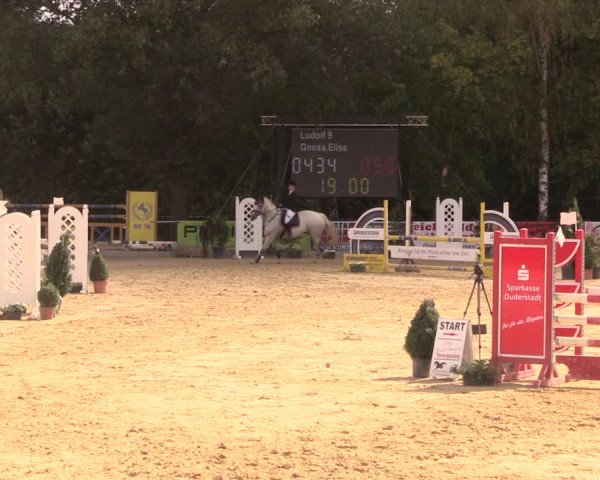 Reitturnier Duderstadt 2018