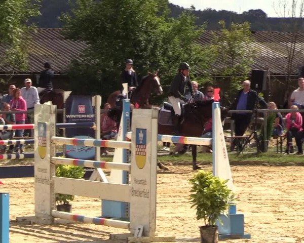 Reitturnier Bühren-Breckerfeld 2018