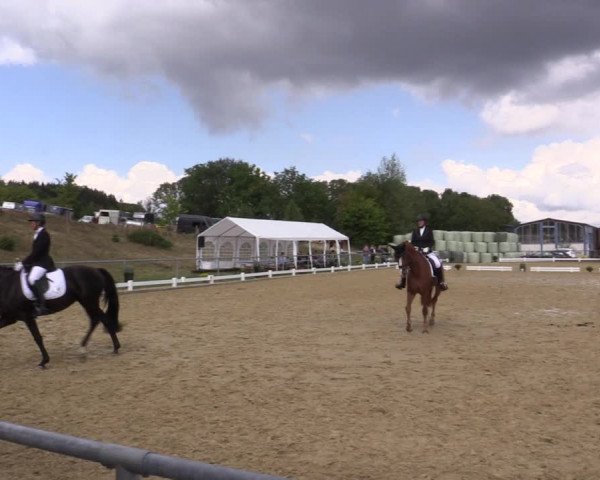 Reitturnier Bühren-Breckerfeld 2018