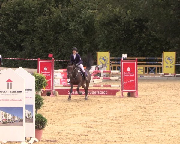 Reitturnier Duderstadt 2018