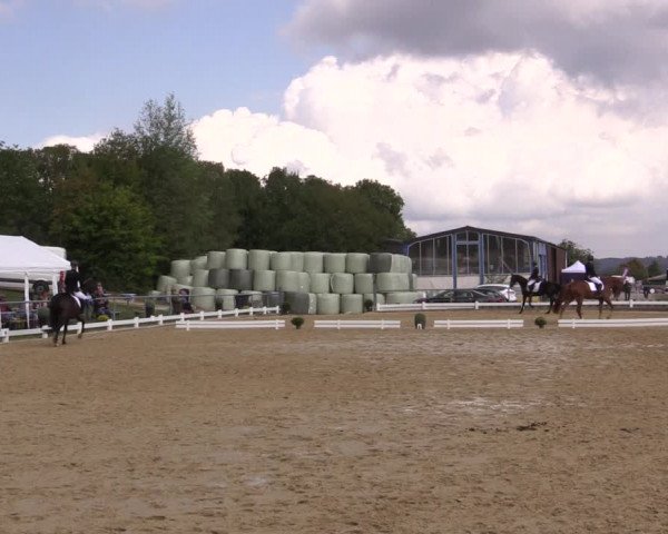 Reitturnier Bühren-Breckerfeld 2018