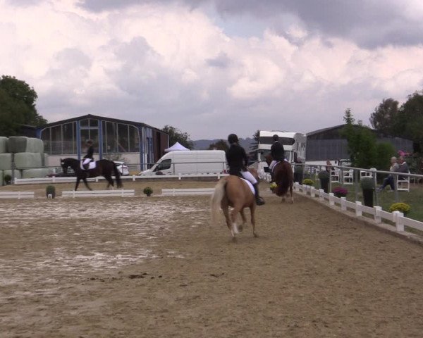 Reitturnier Bühren-Breckerfeld 2018