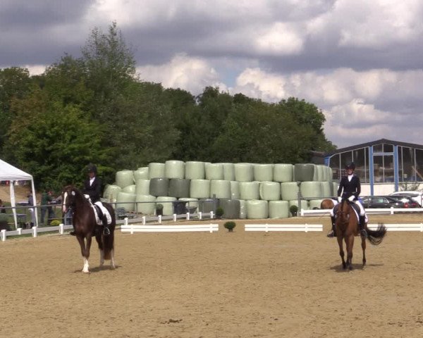 Reitturnier Bühren-Breckerfeld 2018