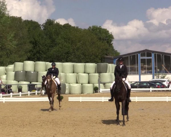 Reitturnier Bühren-Breckerfeld 2018