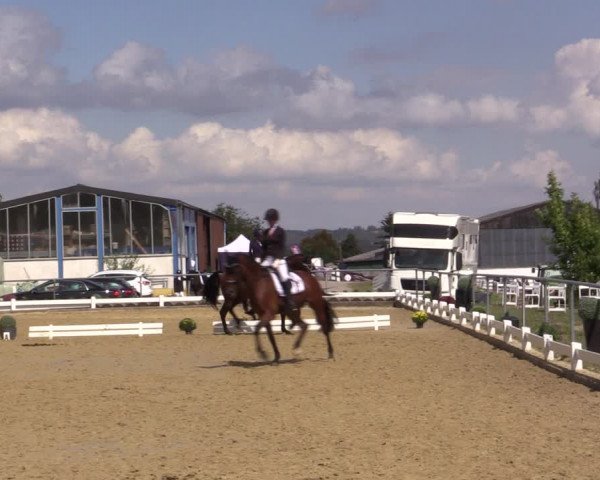 Reitturnier Bühren-Breckerfeld 2018