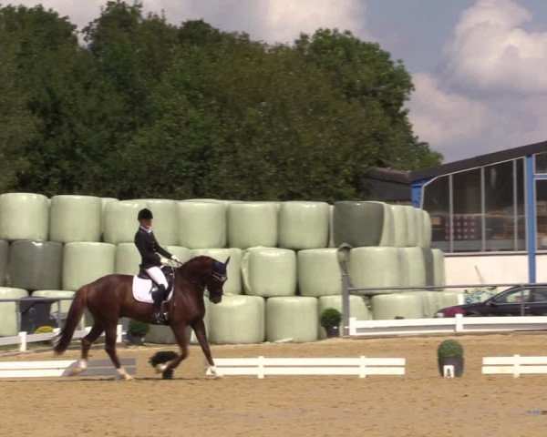 Reitturnier Bühren-Breckerfeld 2018
