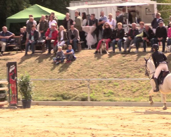 Reitturnier Duderstadt 2018